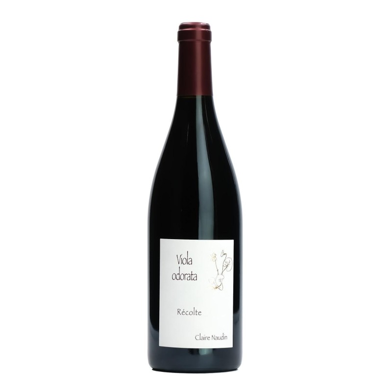 Côtes de Nuits Viola Odorata Naudin 2022