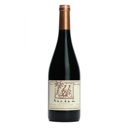 Tandem Syrah du Maroc Alain...