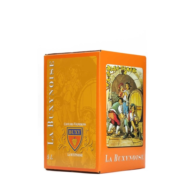VIN DE FRANCE rouge BUXY 5L
