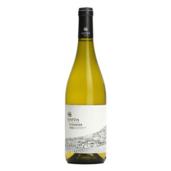Viognier Gayda Collection 2022