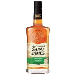 ARRANGÉ ST JAMES Gingembre...